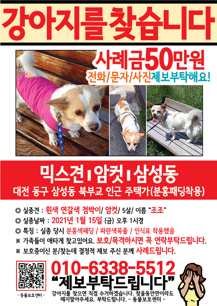 강아지 고양이 전단지