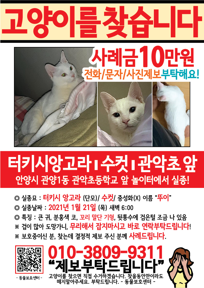 강아지 고양이 전단지