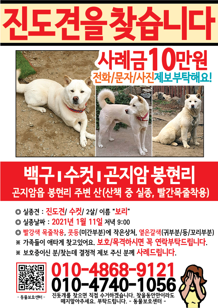 강아지 고양이 전단지