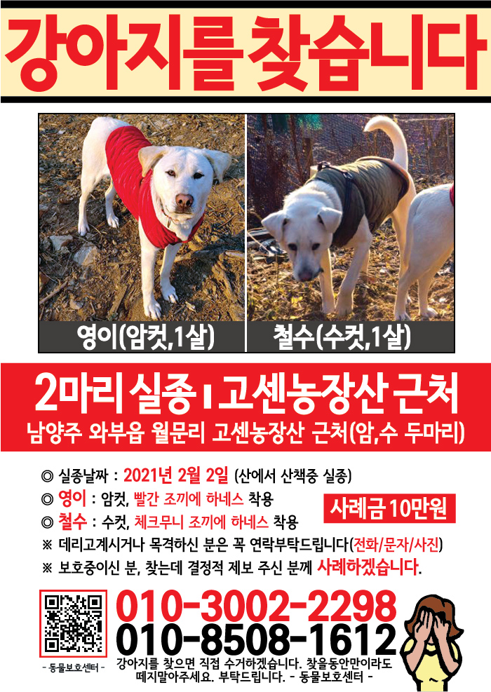 강아지 고양이 전단지