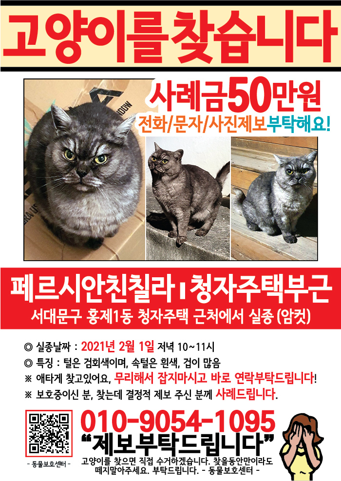 강아지 고양이 전단지