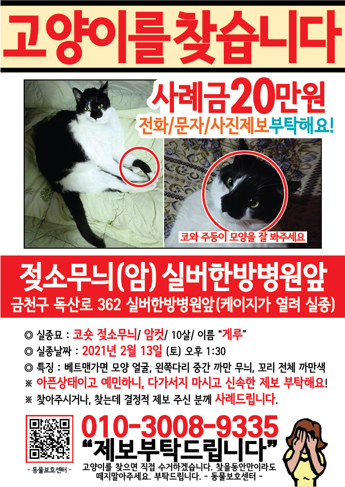 강아지 고양이 전단지