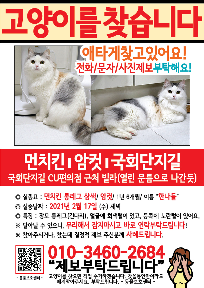 강아지 고양이 전단지