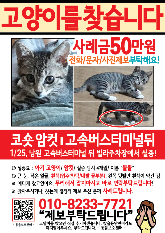 강아지 고양이 전단지