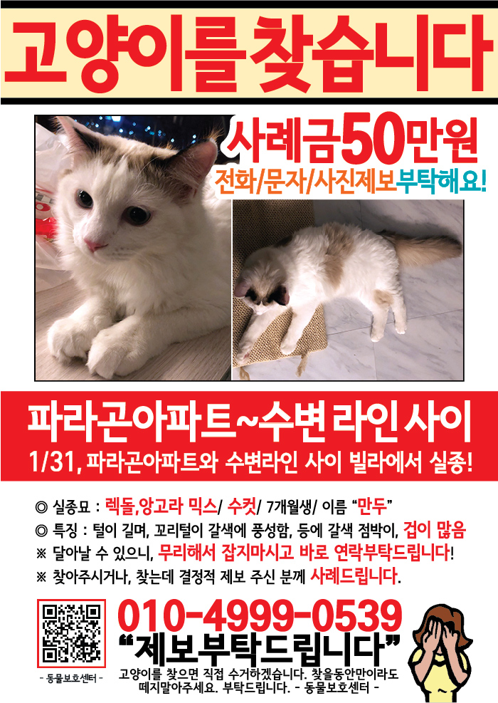 강아지 고양이 전단지