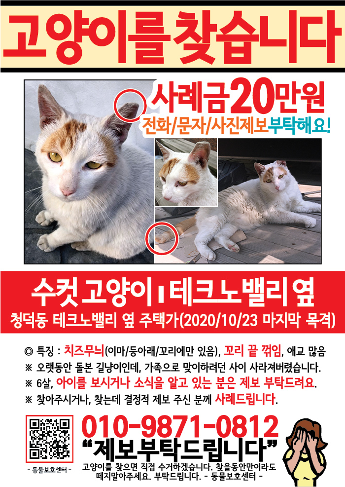 강아지 고양이 전단지