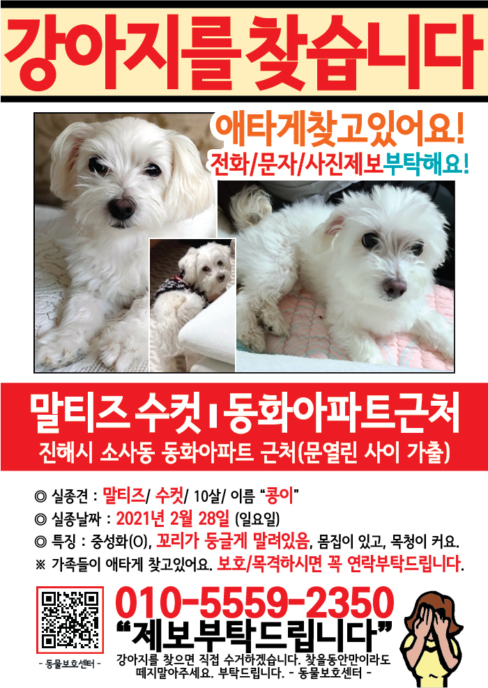 강아지 고양이 전단지