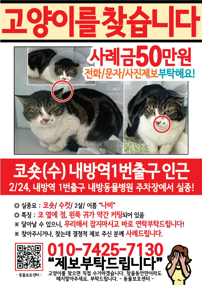 강아지 고양이 전단지