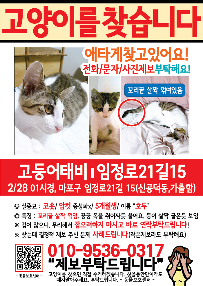 강아지 고양이 전단지