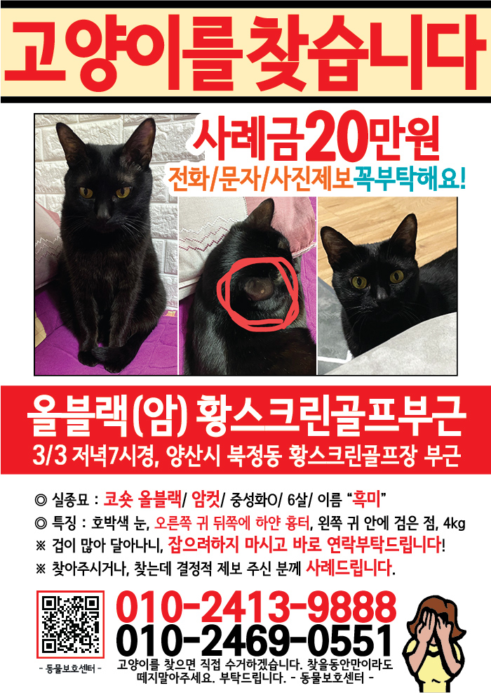 강아지 고양이 전단지