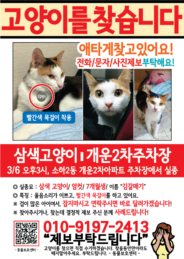 강아지 고양이 전단지