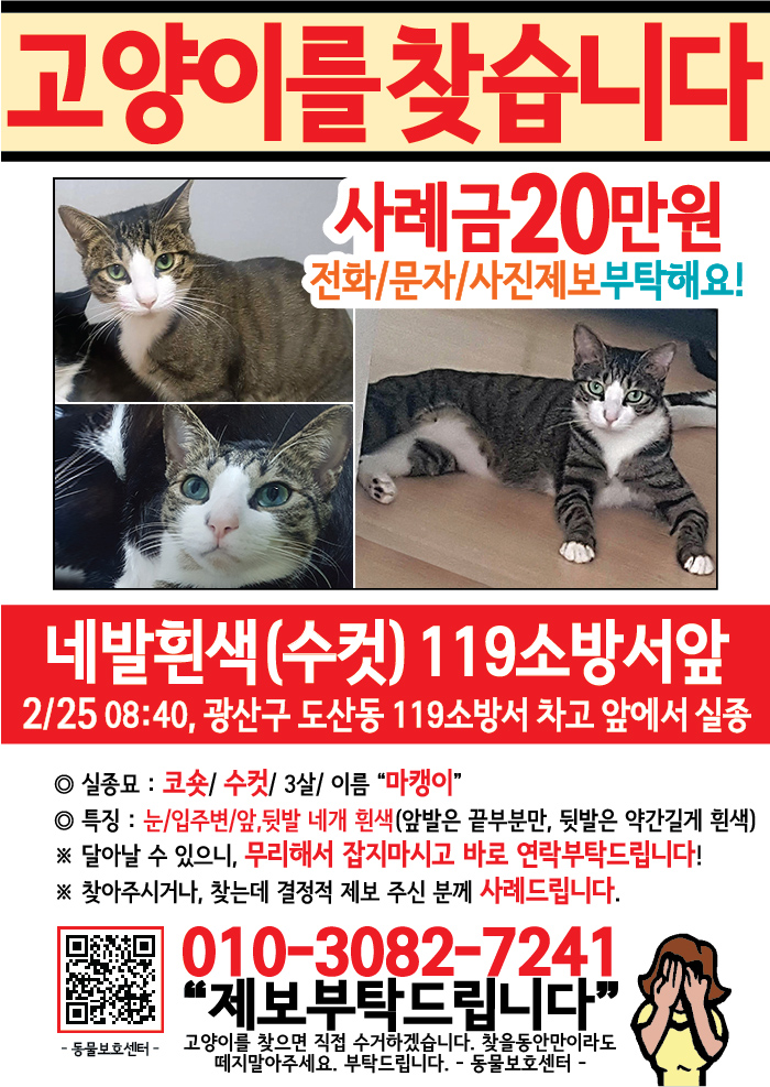 강아지 고양이 전단지