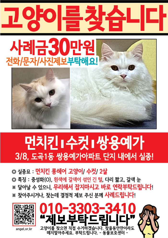 강아지 고양이 전단지