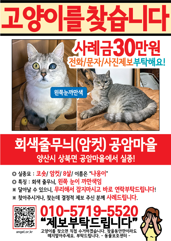 강아지 고양이 전단지