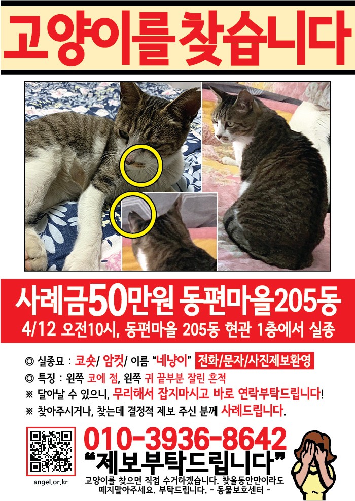 강아지 고양이 전단지