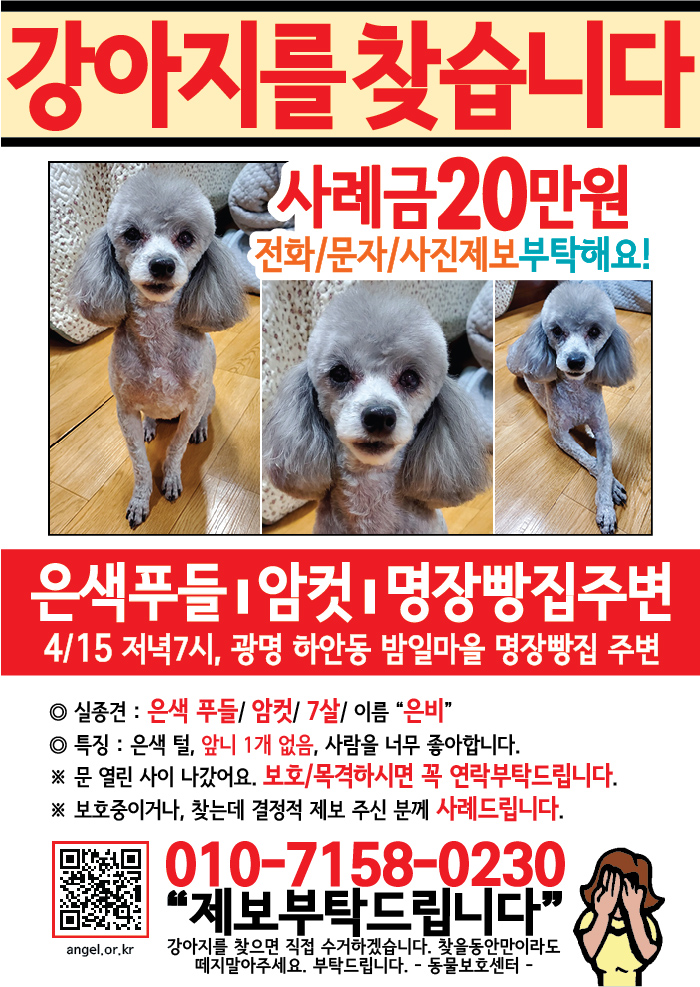 강아지 고양이 전단지