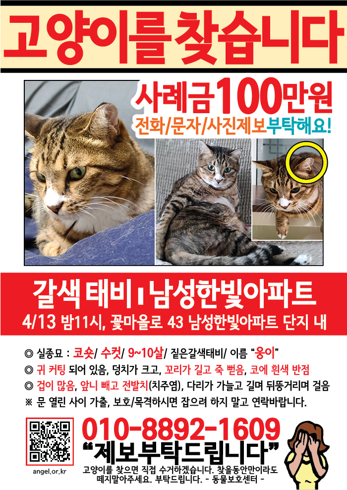 강아지 고양이 전단지