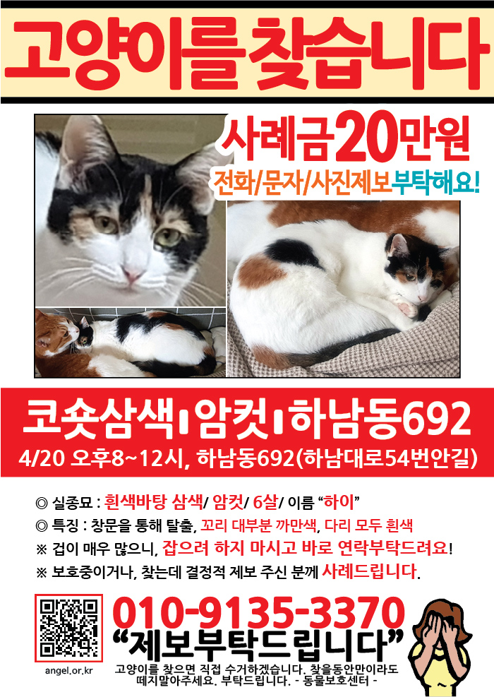 강아지 고양이 전단지