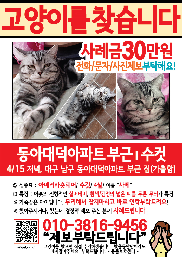 강아지 고양이 전단지