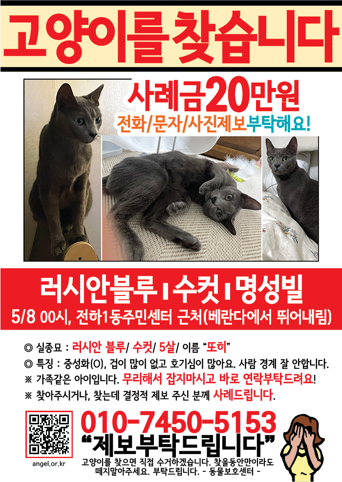 강아지 고양이 전단지