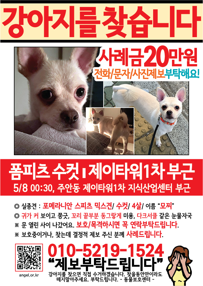 강아지 고양이 전단지