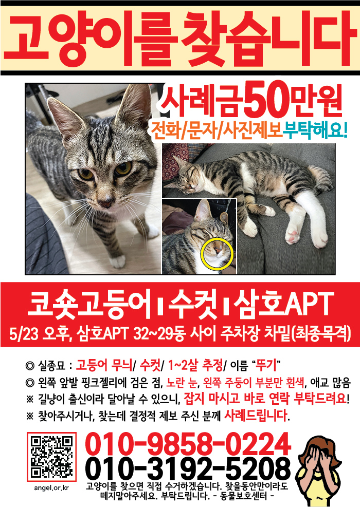 강아지 고양이 전단지