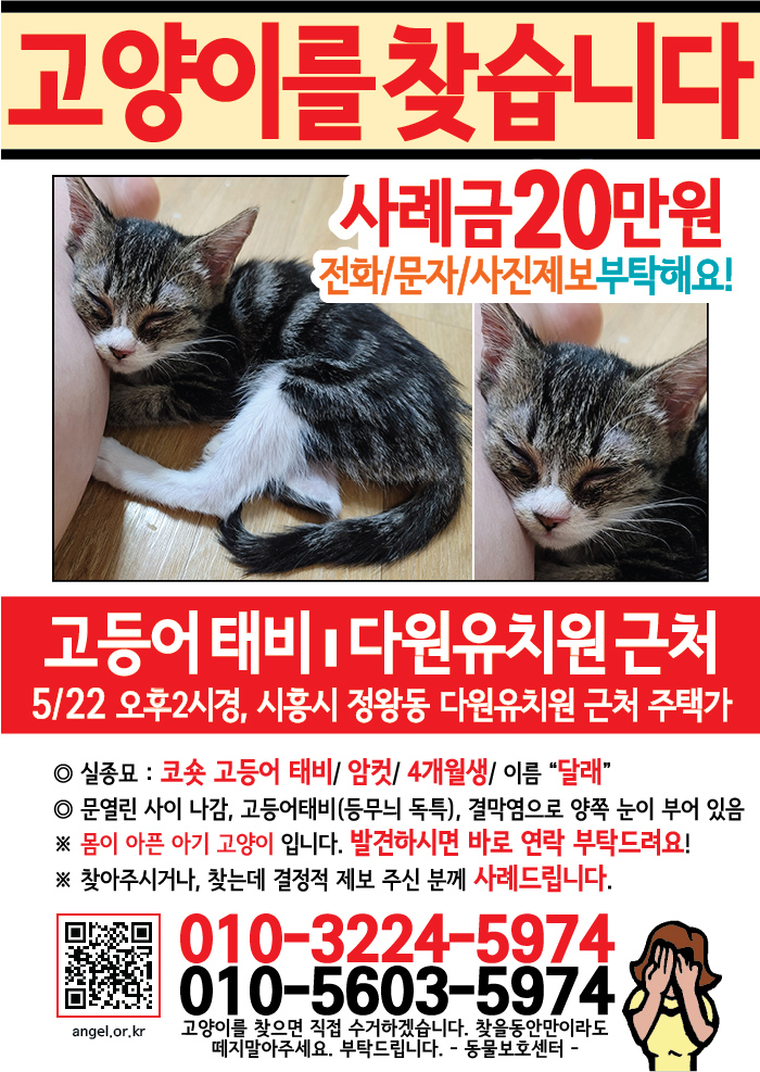 강아지 고양이 전단지