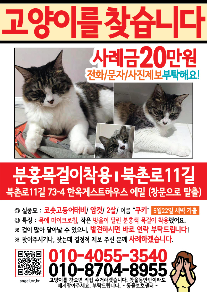 강아지 고양이 전단지