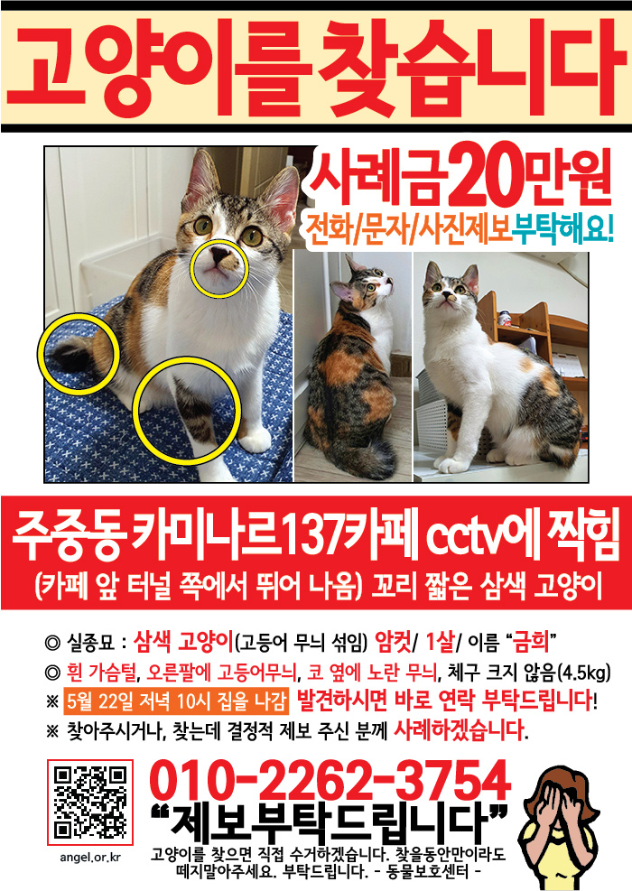 강아지 고양이 전단지