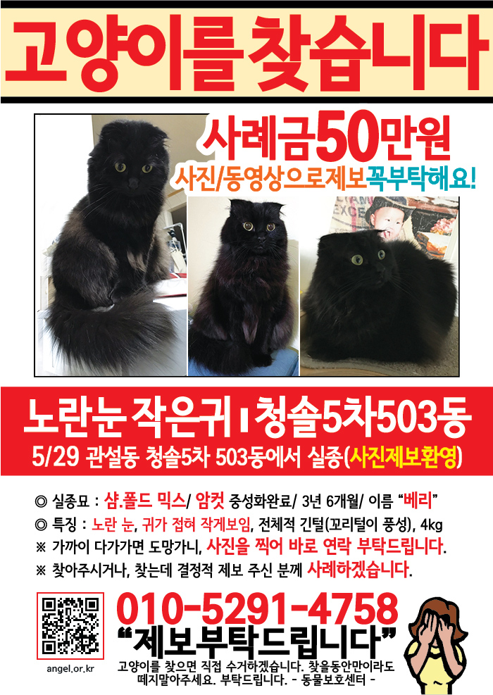 강아지 고양이 전단지