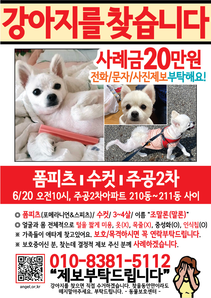 강아지 고양이 전단지