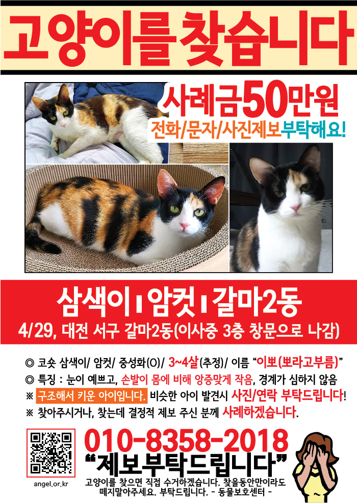 강아지 고양이 전단지