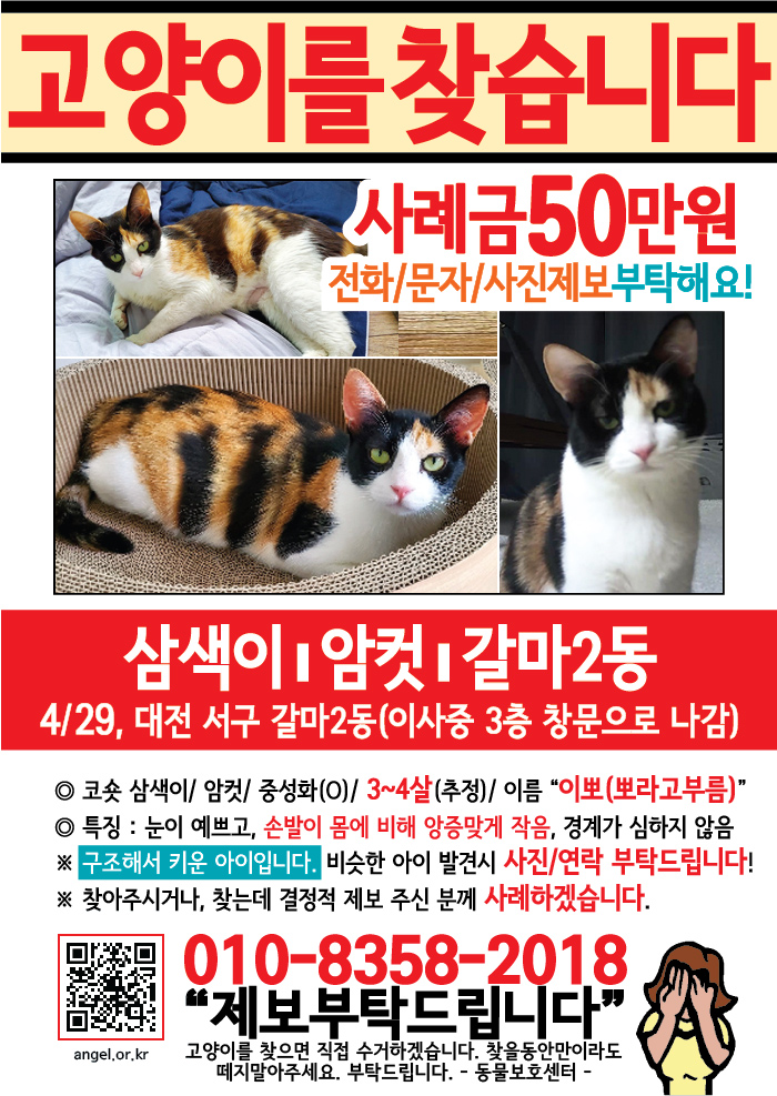 강아지 고양이 전단지