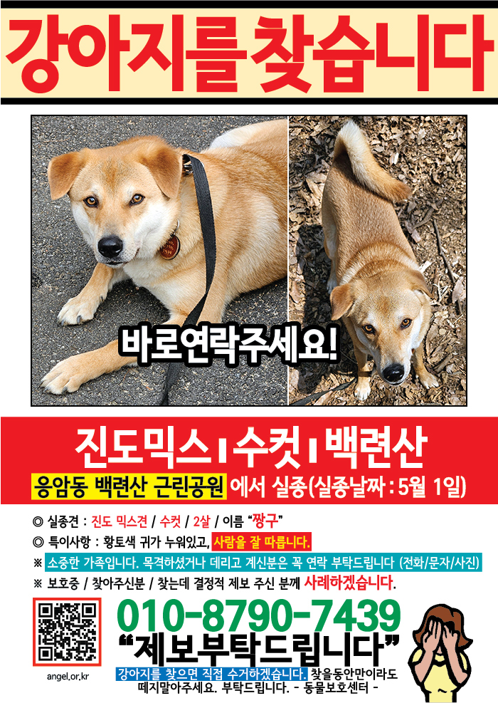 강아지 고양이 전단지