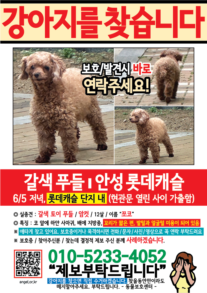 강아지 고양이 전단지