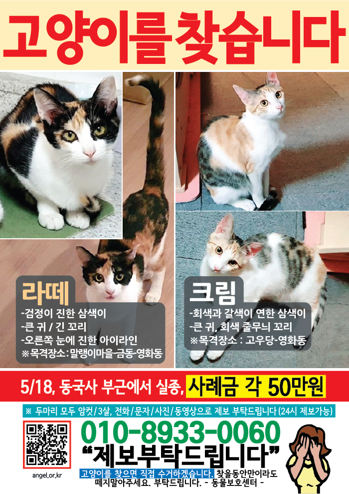 강아지 고양이 전단지