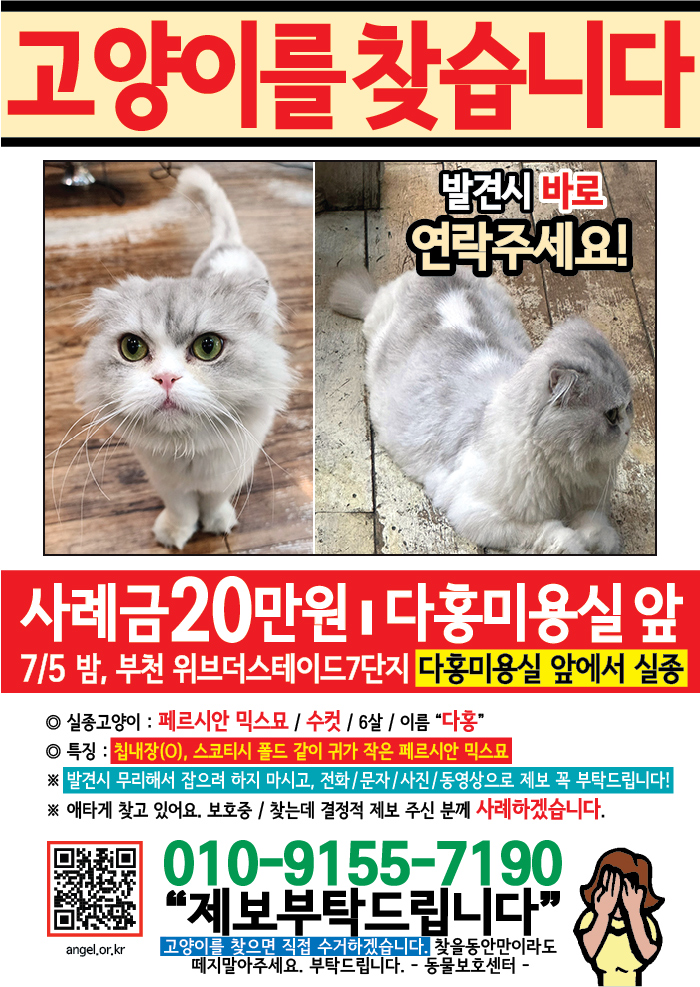 강아지 고양이 전단지