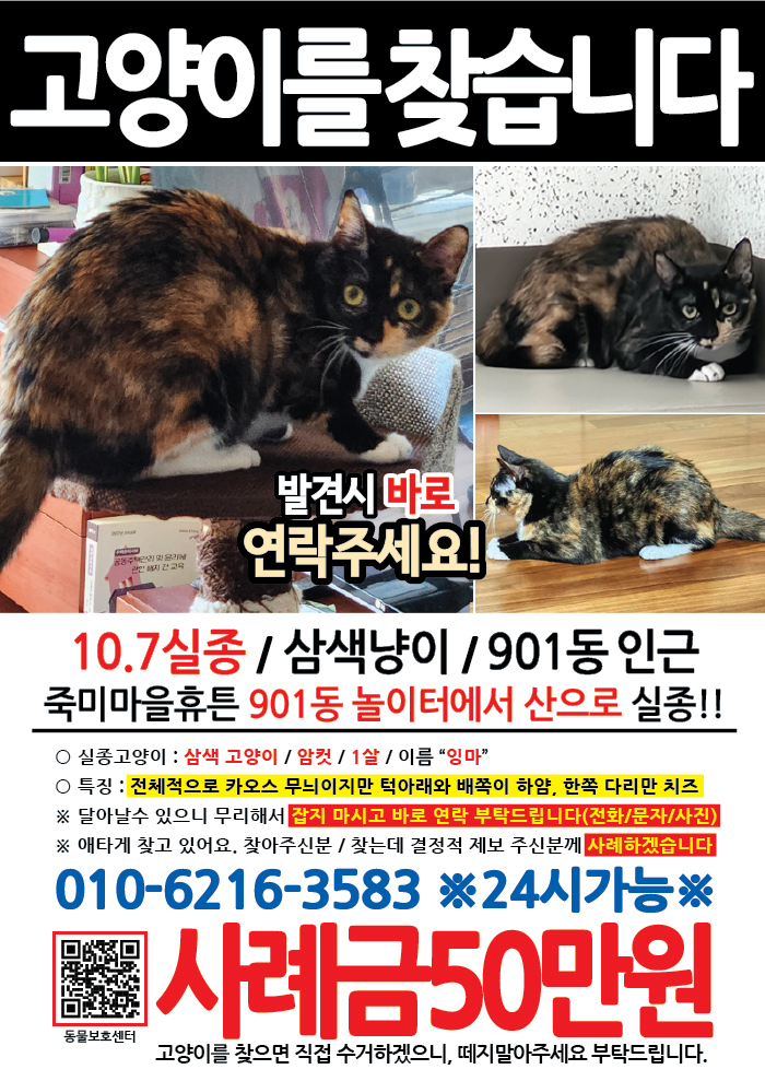 강아지 고양이 전단지